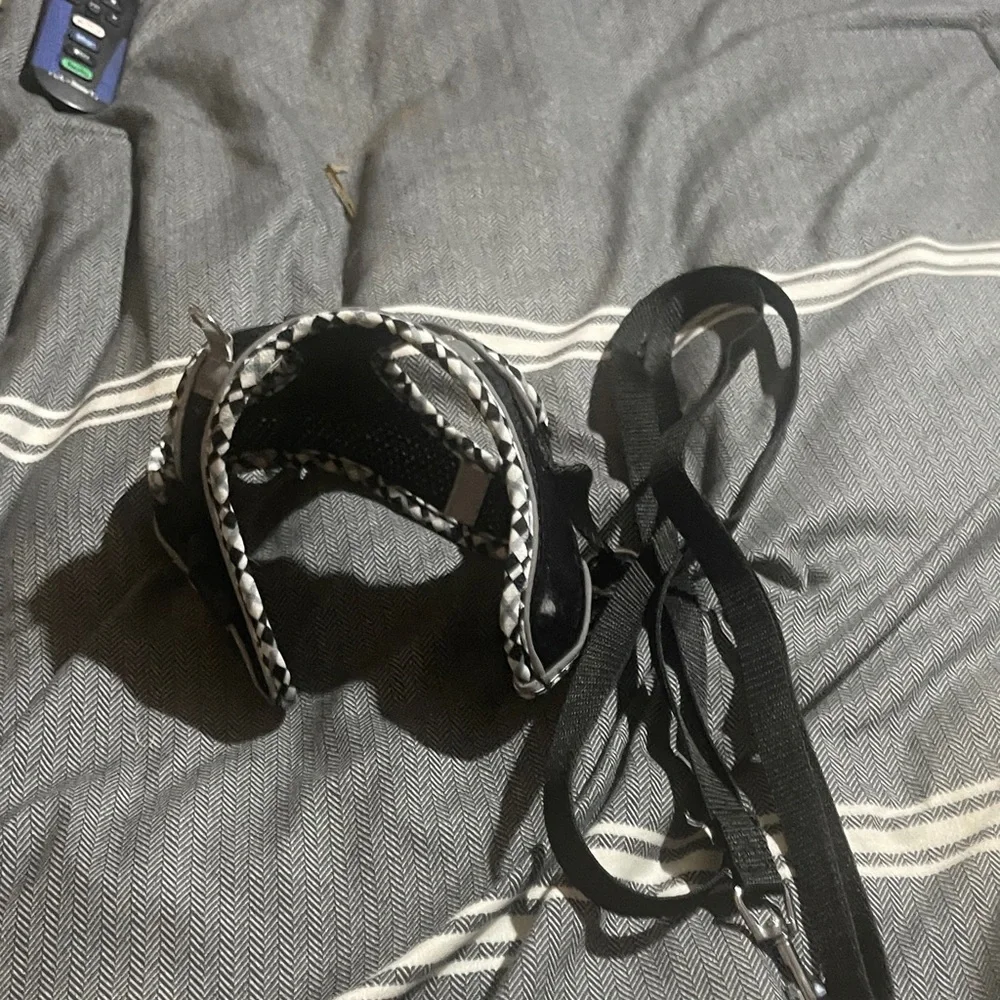 Chic Black and White Cat Harness and Leash Set